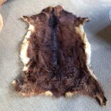 Goat skin
