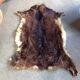 Goat skin