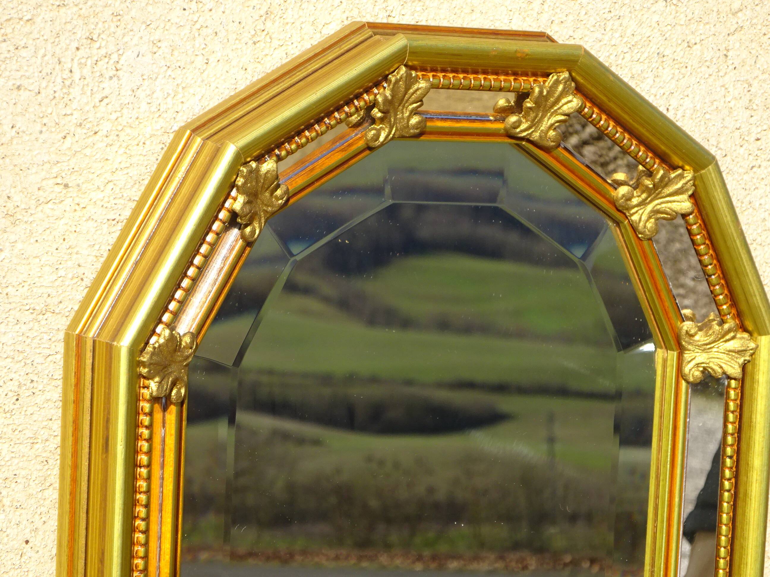 Miroir à parecloses, fleurs de lys, 99cmx30cm