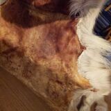 Reindeer skin rug