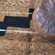 Contemporary brown and black rug - 10.1 x 6.7 ft / 307 x 205 cm