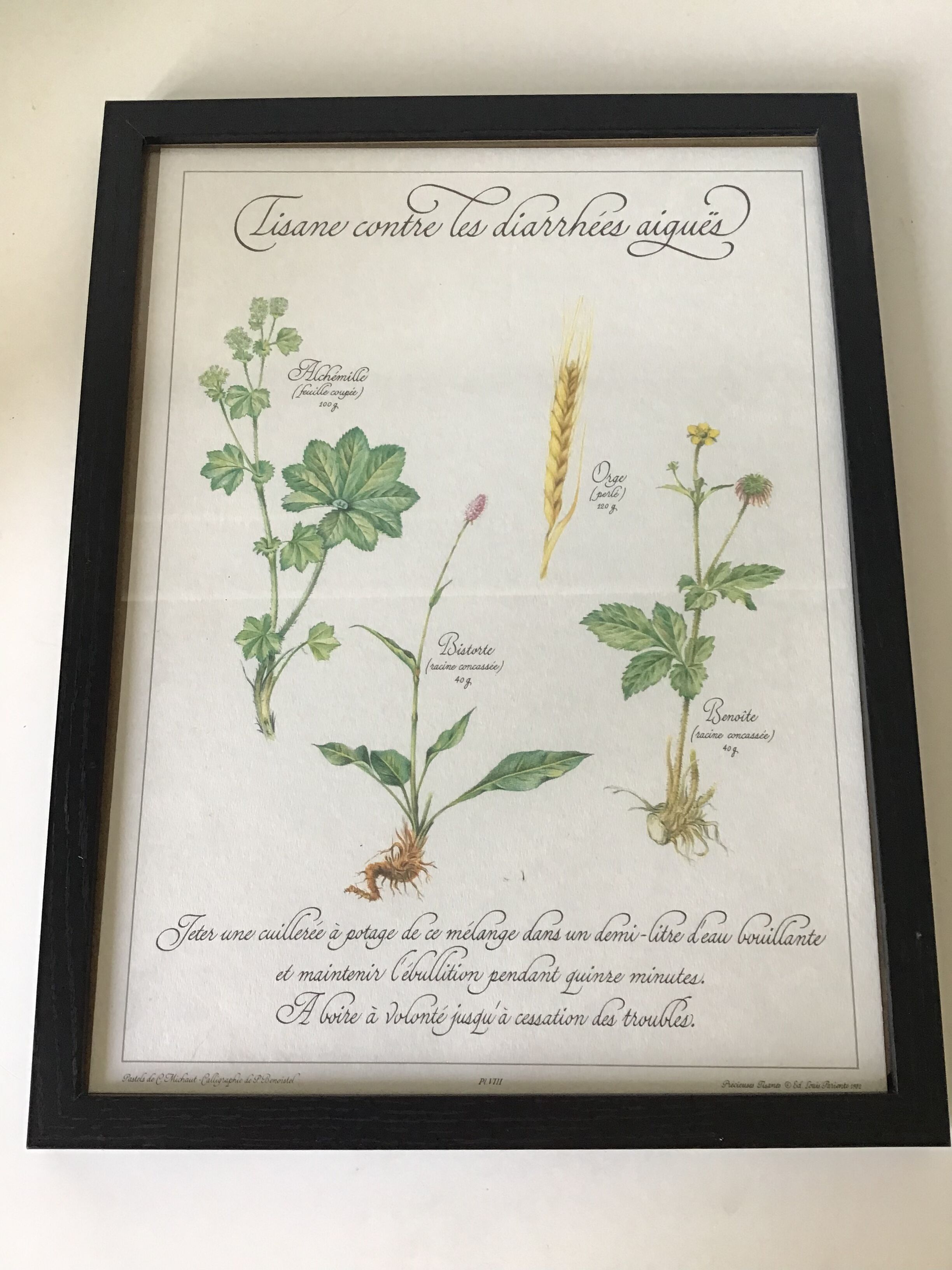 Botanical engraving precious herbal teas framed