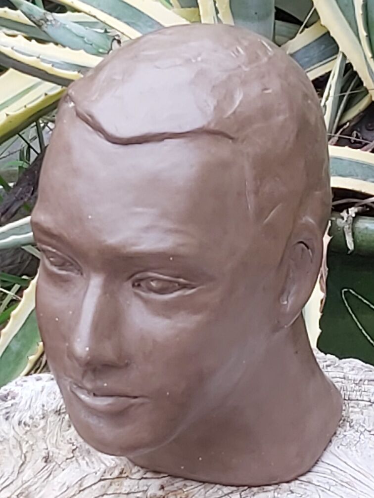 Buste tête homme terre cuite