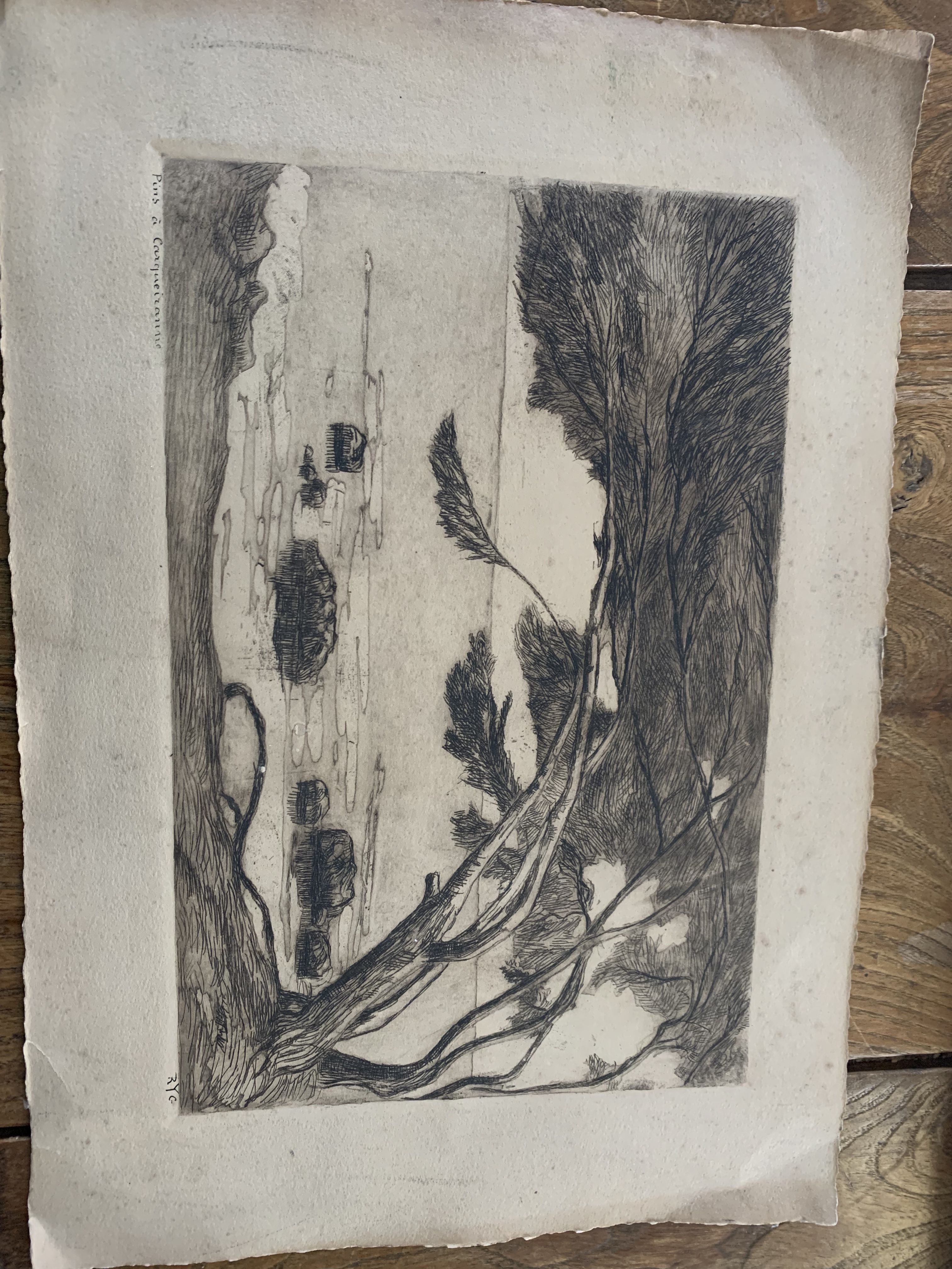 Charcoal drawing and ink the pines Carqueiranne sign Ryg
