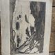 Charcoal drawing and ink the pines Carqueiranne sign Ryg