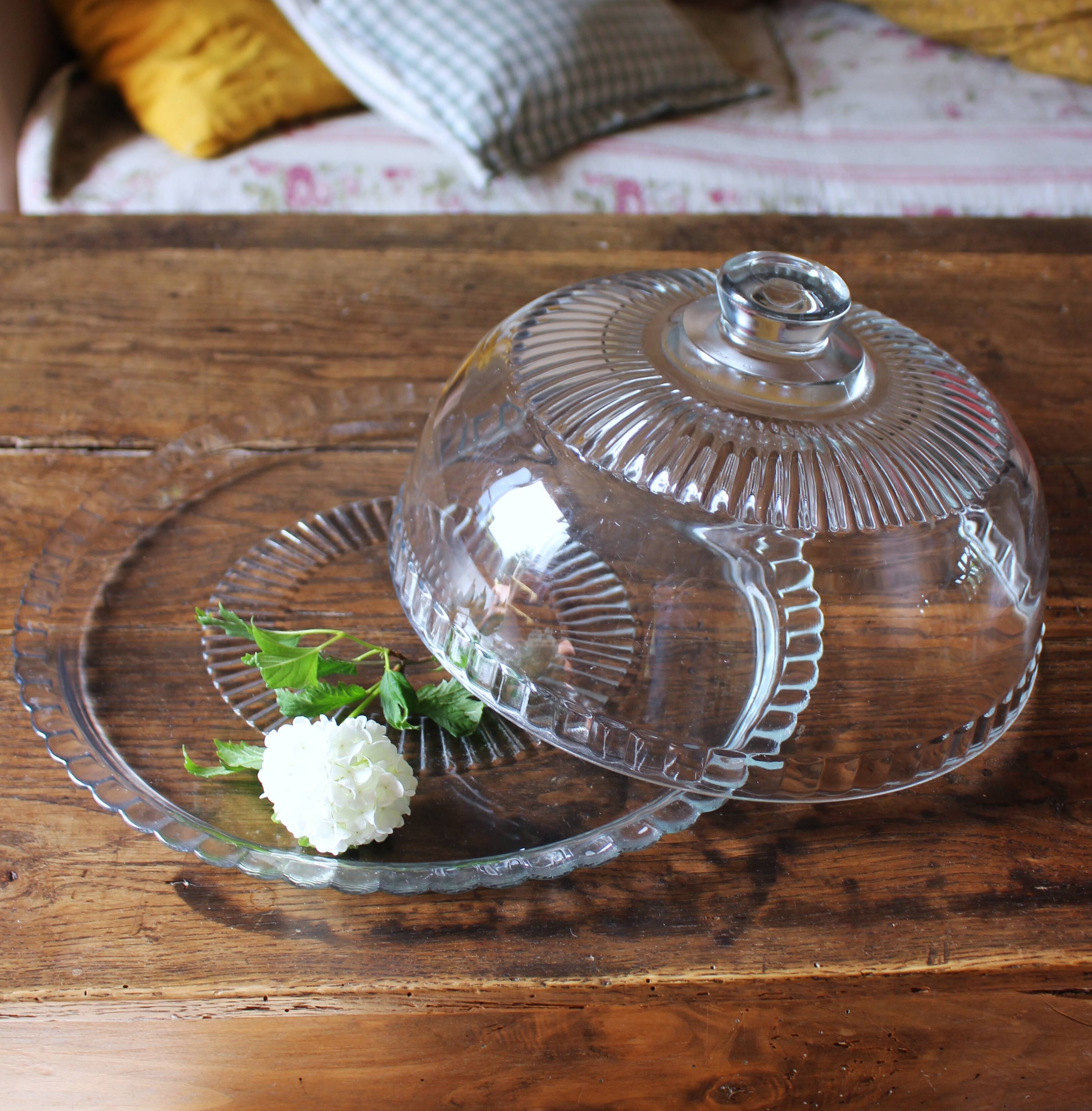 Large glass bell jar and its vintage cheese dessert plate.