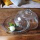 Large glass bell jar and its vintage cheese dessert plate.