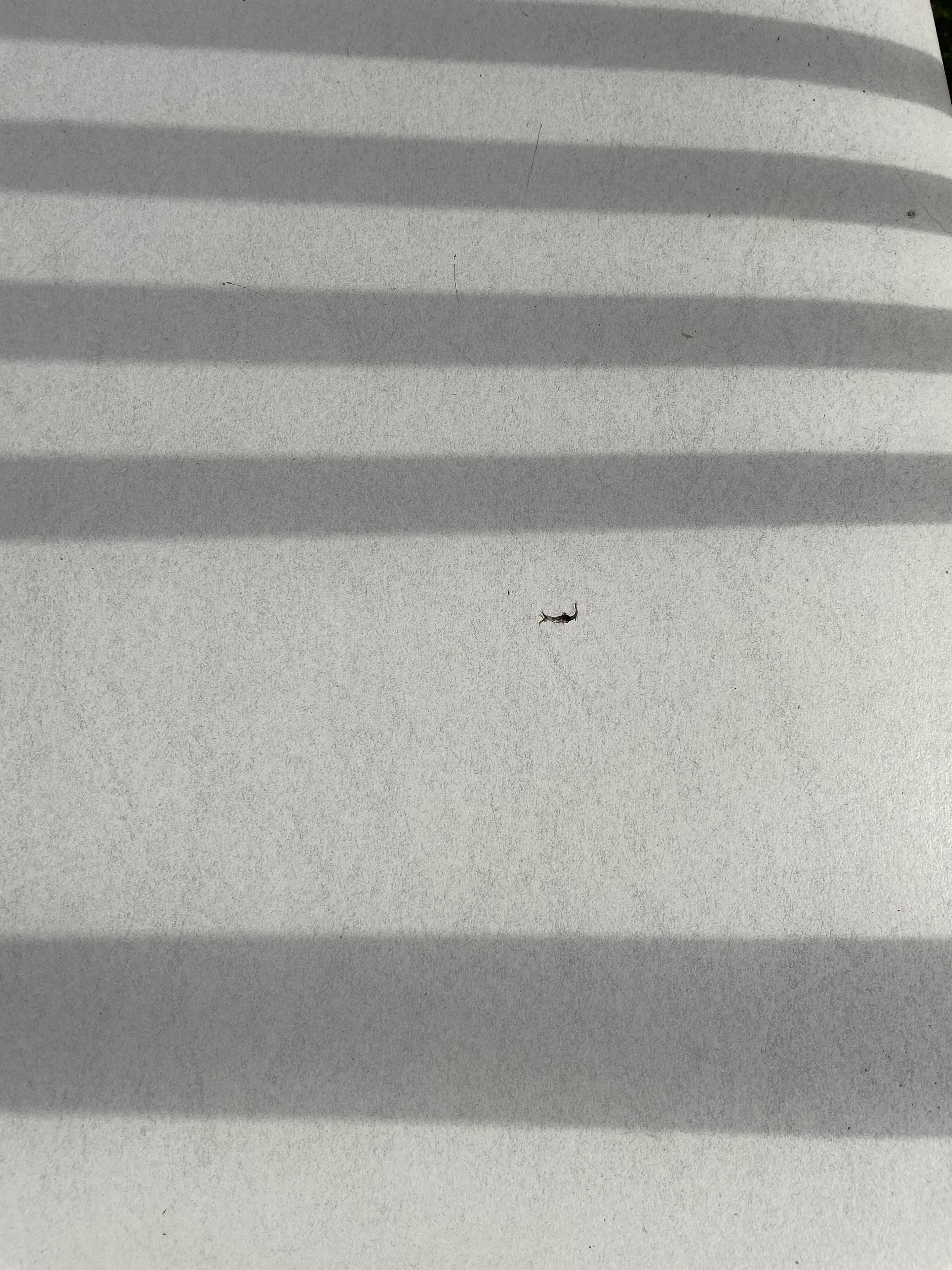 Set 4 chairs white vintage year 60