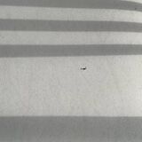 Set 4 chairs white vintage year 60