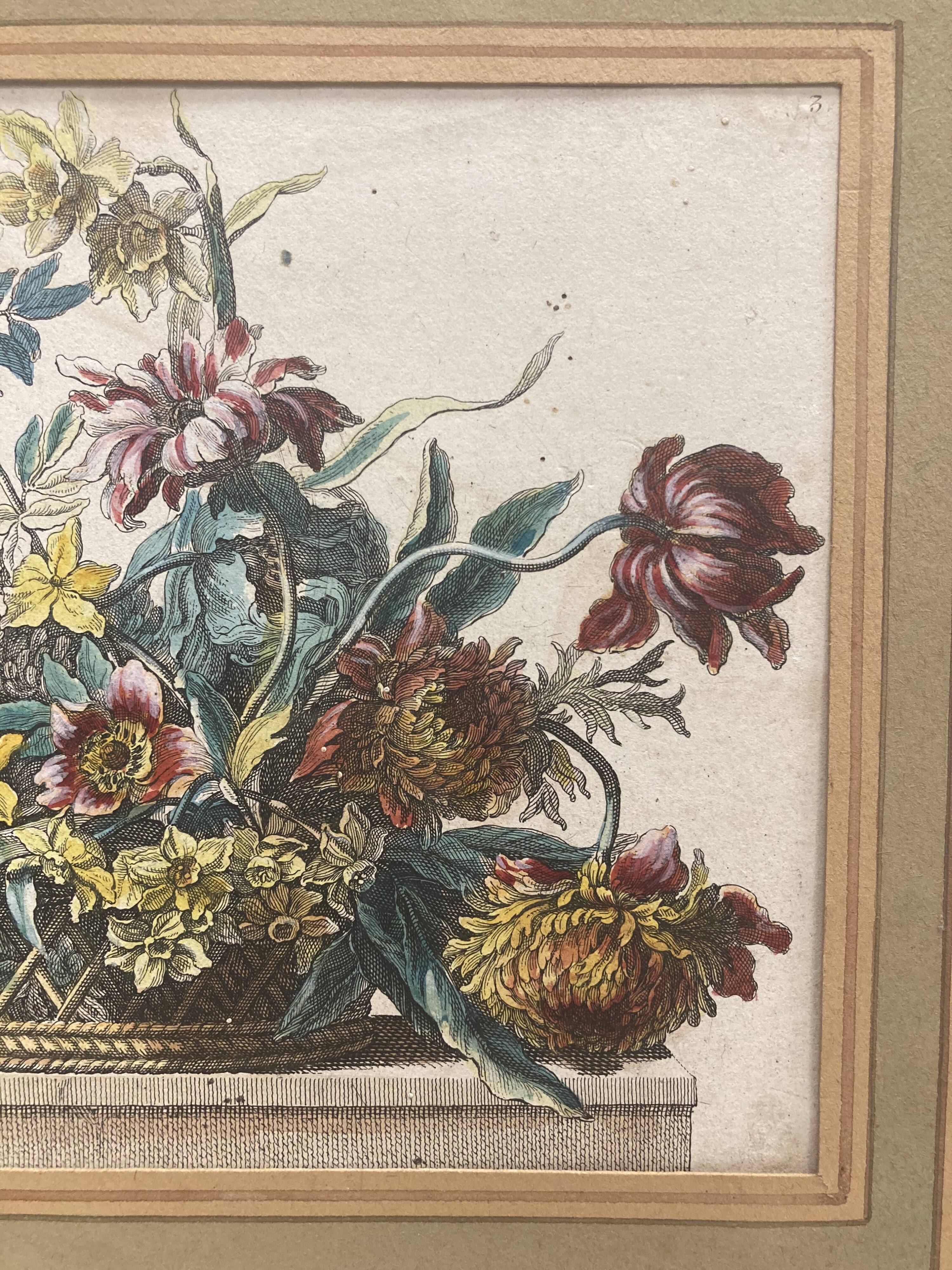 Pair of framed botanical boards