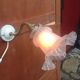 Wall light  porcelain and brass gooseneck