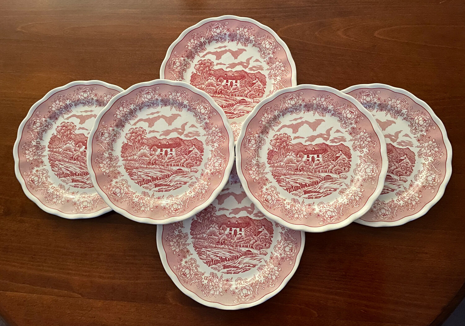 6 Fontebasso English style dinner plates