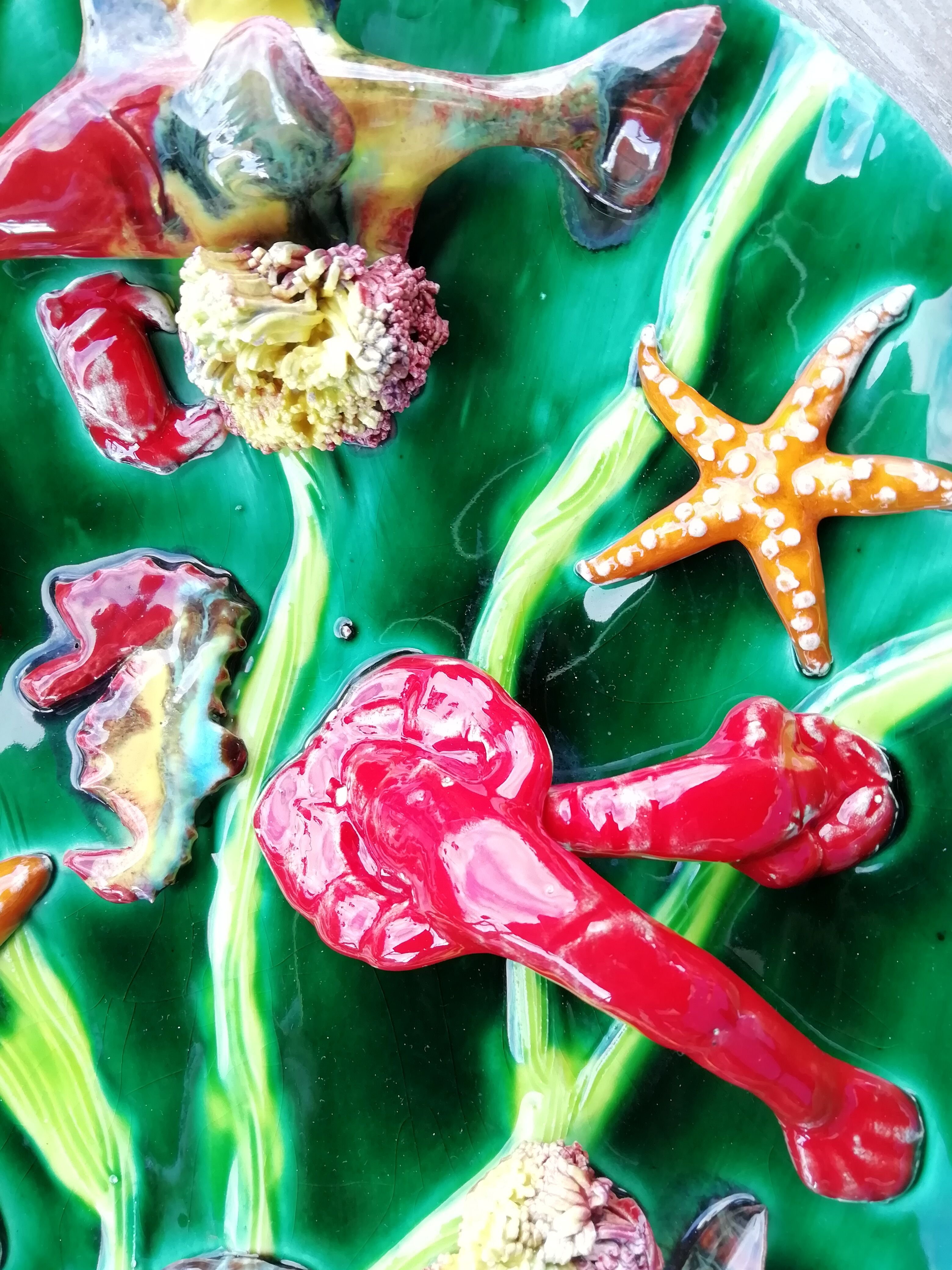 Wall plate marine animals