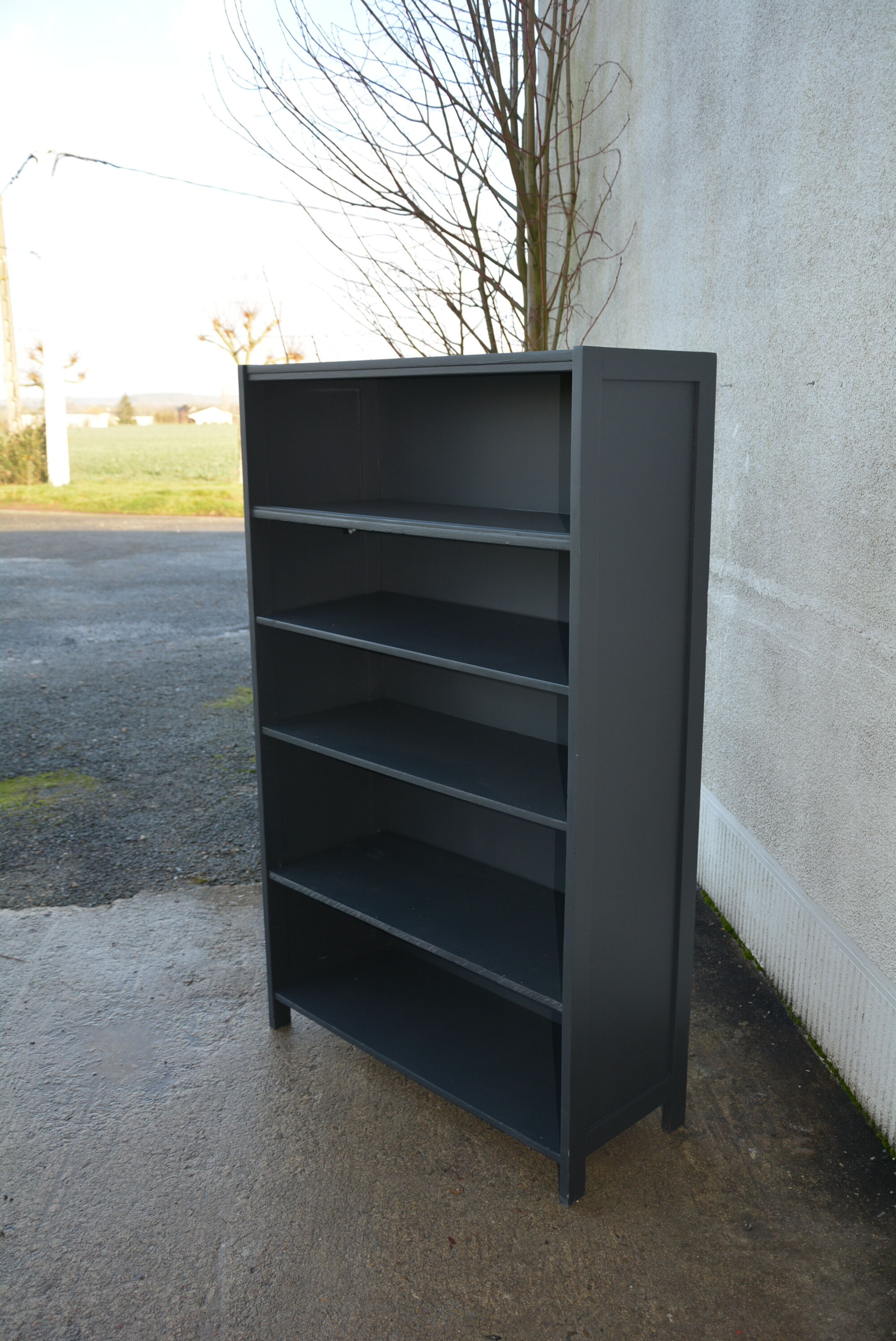 Library of the 50s, Shelf