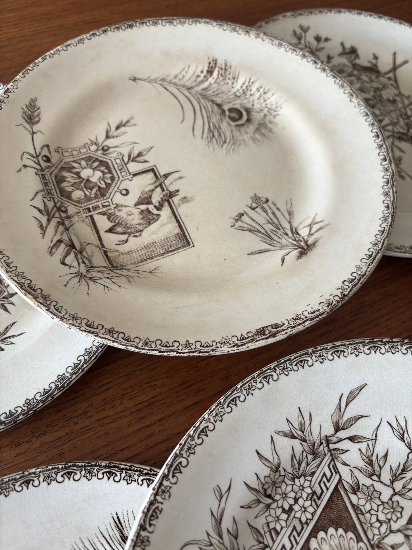 6 dessert plates iron earth sepia Grand Dépôt Earthenware