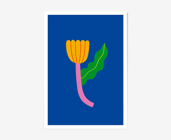 Illustration A Tulip