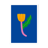 Illustration A Tulip