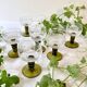 6 small liqueur glasses Roemer, moss green stepped bases