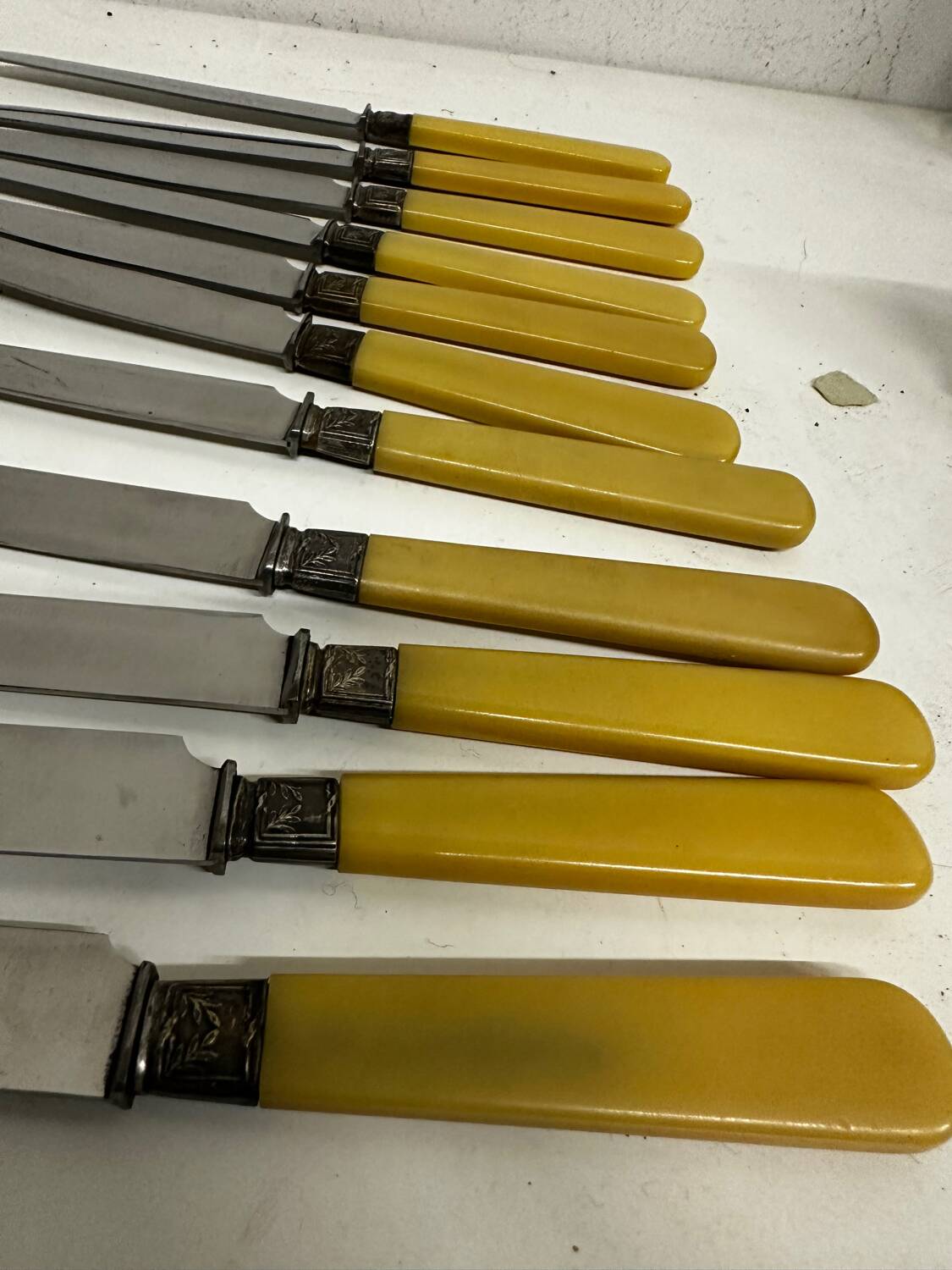 12 Antique Knives with Bakelite Handles and Stainless Steel Blades - 24 cm - Paris