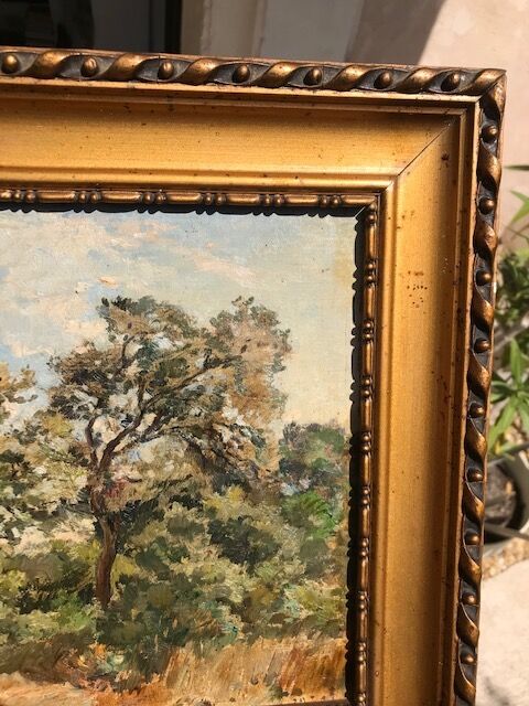 Tableau Fortuné Viguier