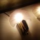 Pair of sconces shell pressed glass sand and golden steel 1970