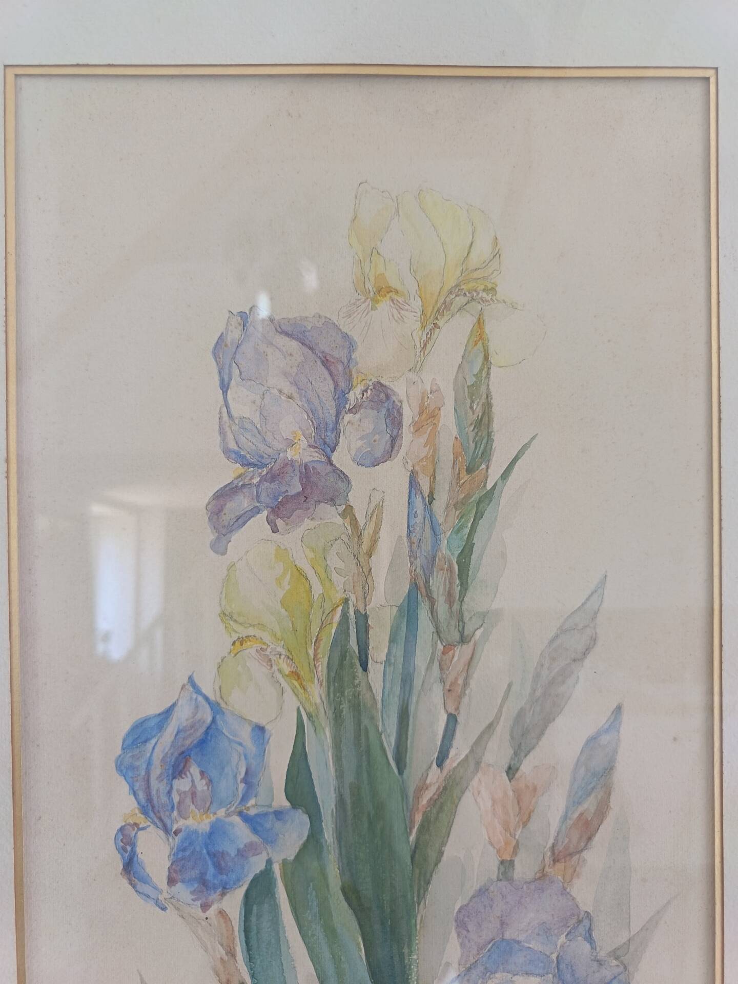 Painting of an iris