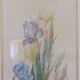 Painting of an iris