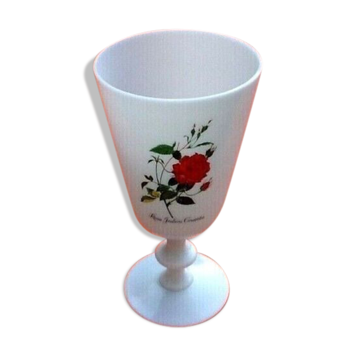 Vase white opaline decoration rosa indica cruenta