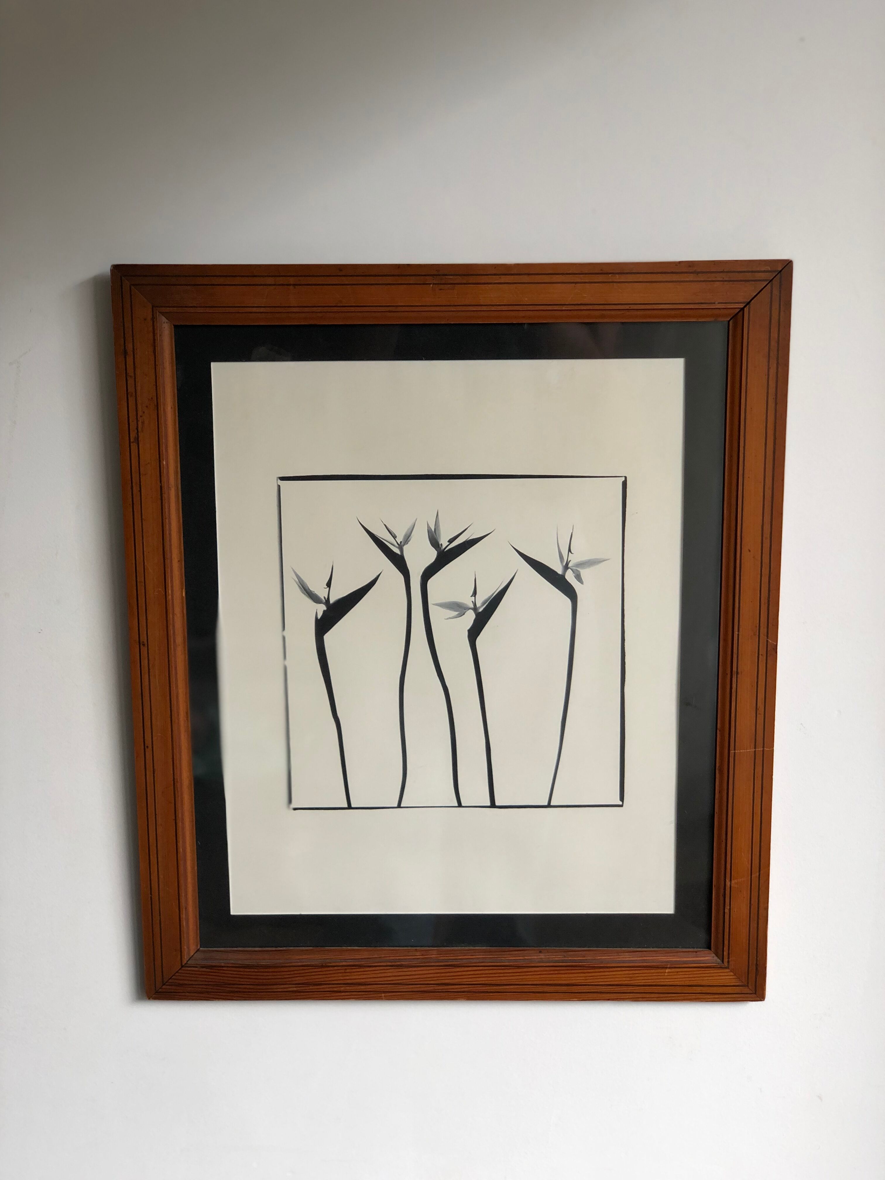 Flowers black and white framed print