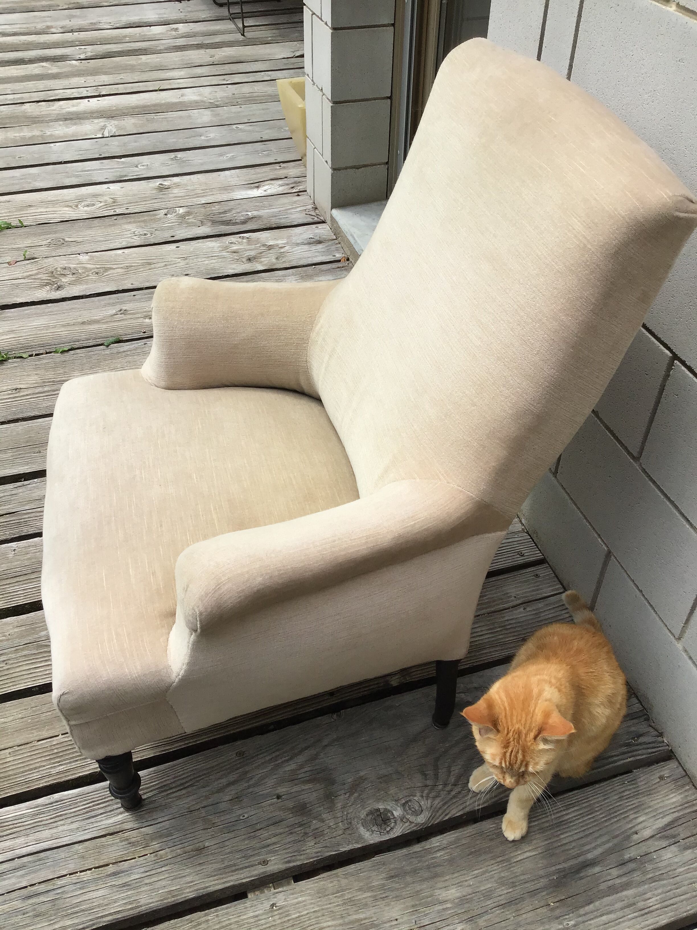 Napoleon lll armchair