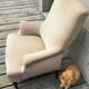Napoleon lll armchair