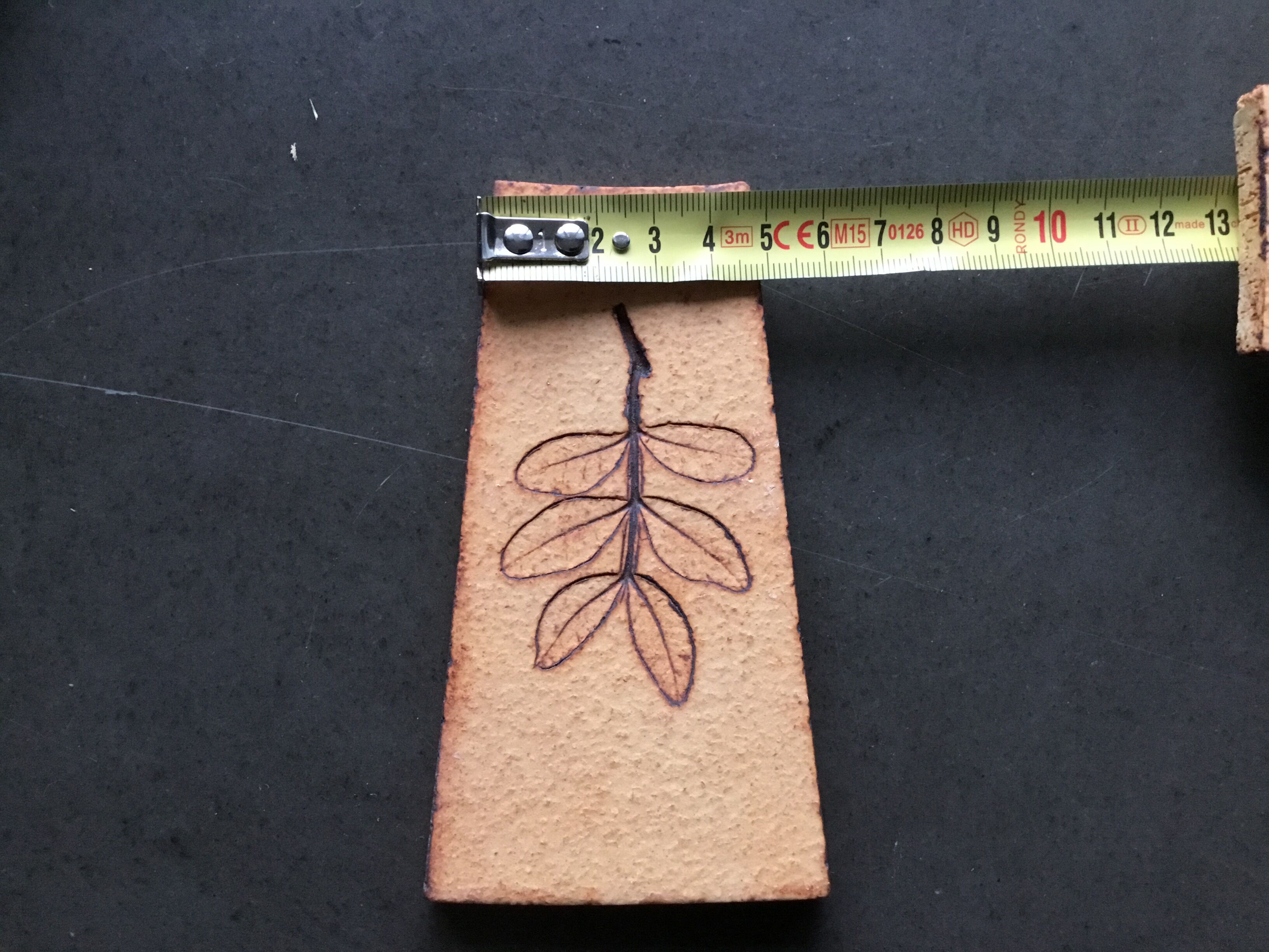 Carreaux herbier Roger Capron