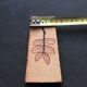 Carreaux herbier Roger Capron