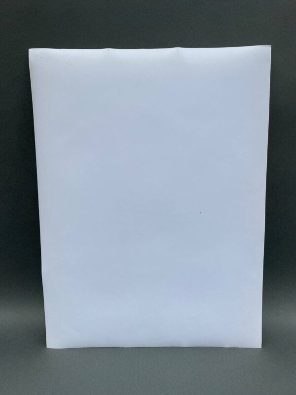 Photographie argentique Bernard Darot Arbustes au bord de l'eau XXe