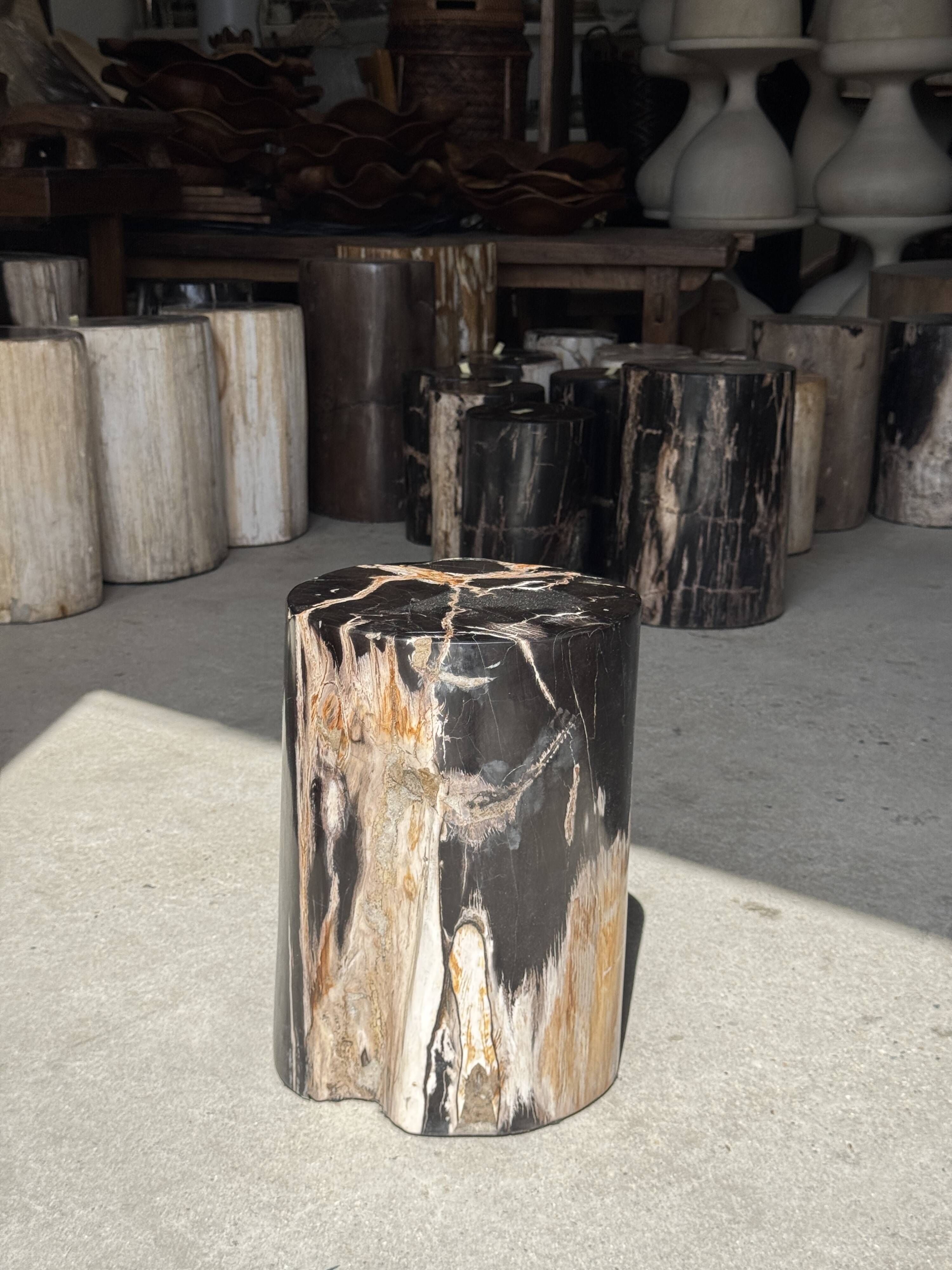 Black petrified wood side table with beige stripes, star pattern H35 D24.