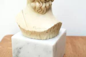 Bust of David by Michelangelo 1950s