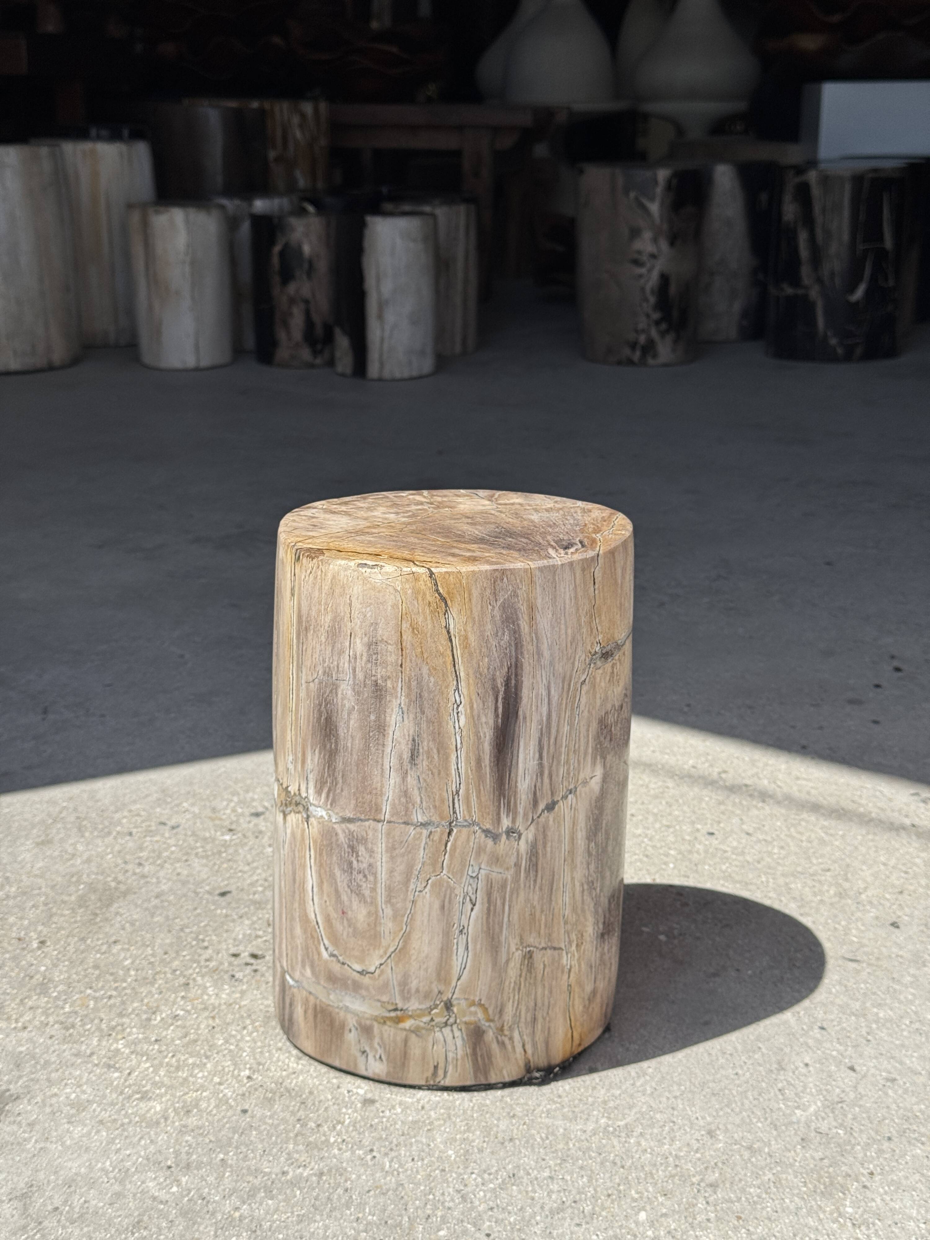 Petite table d'appoint en bois pétrifié beige gris H28 D18 - 3325