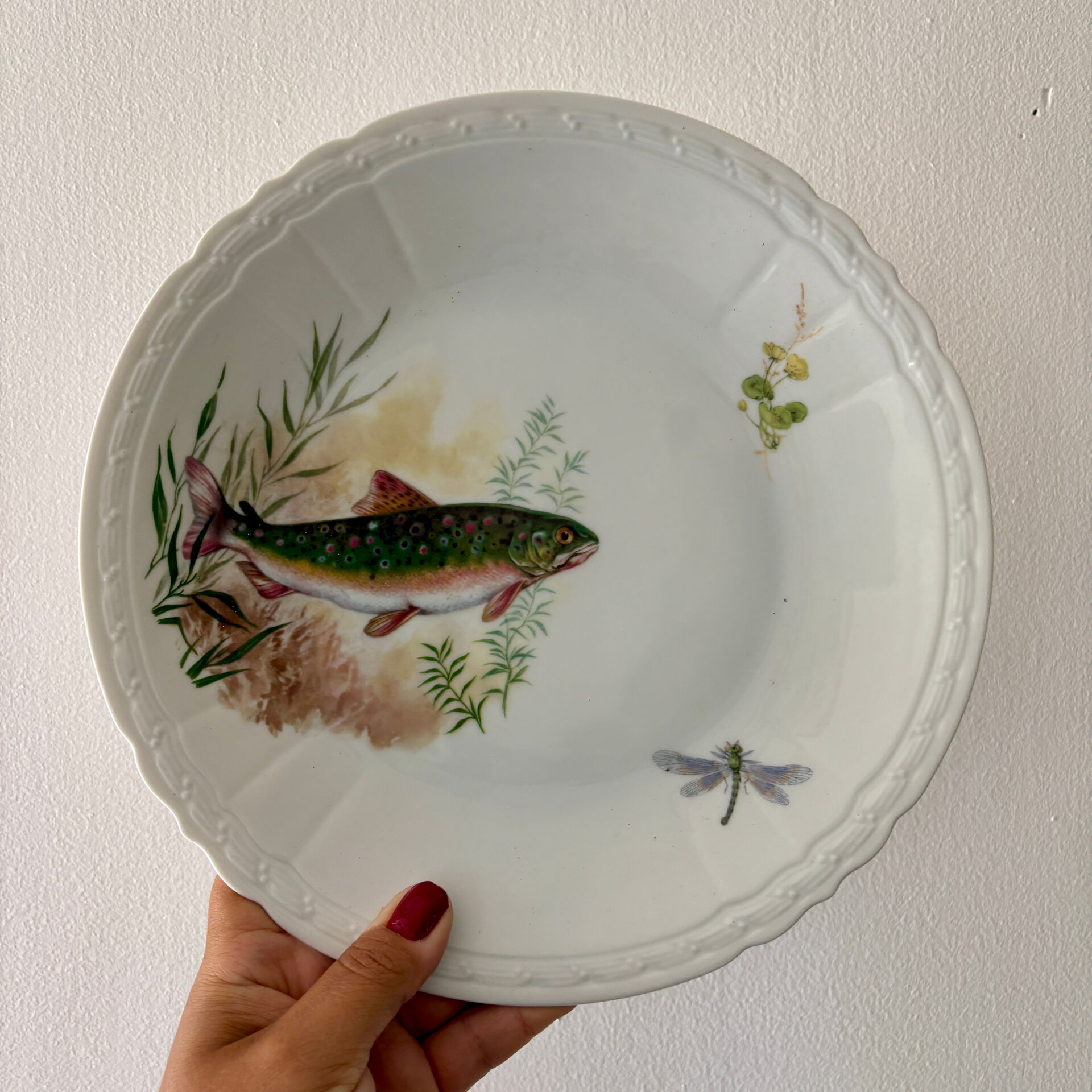 Set of 10 antique flat plates in porcelain, decorated with fish.