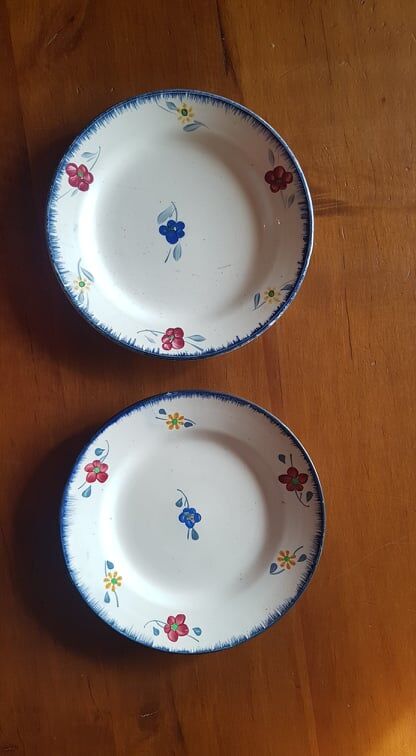 Set of 2 plates Digoin Sarreguemines model Mary Lou