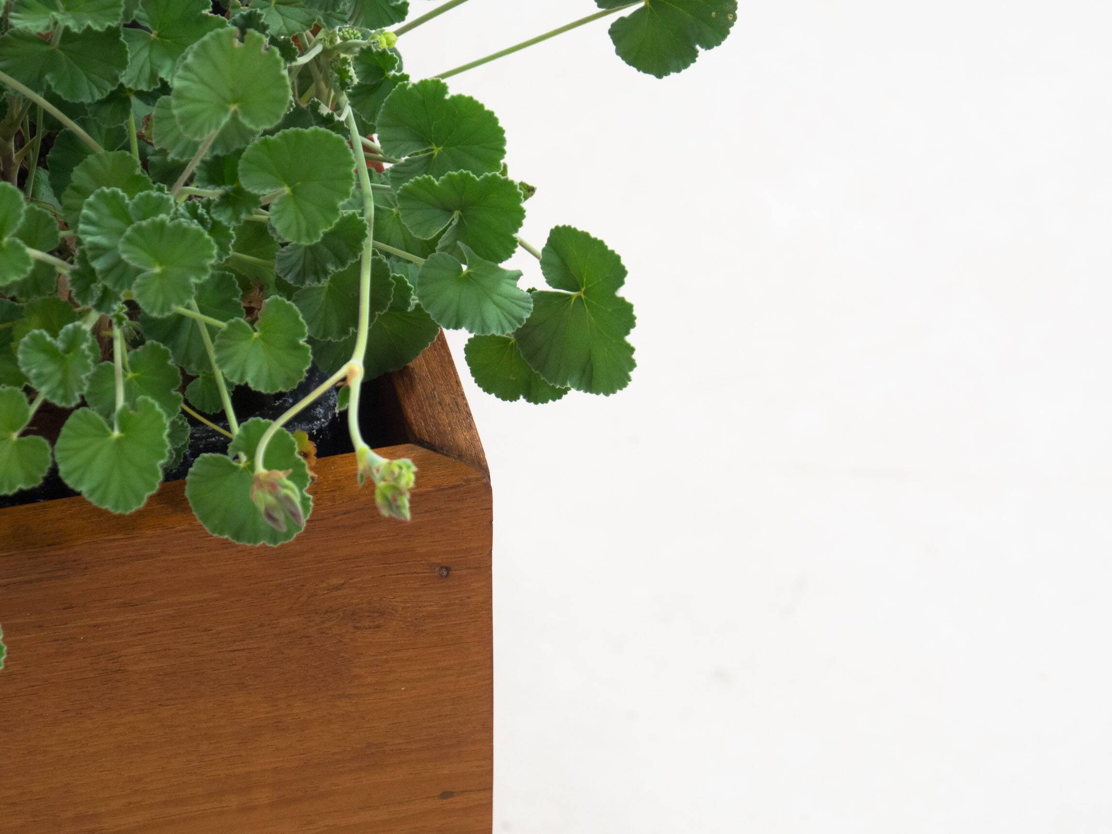 Vintage extra large teak planter