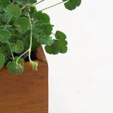 Vintage extra large teak planter