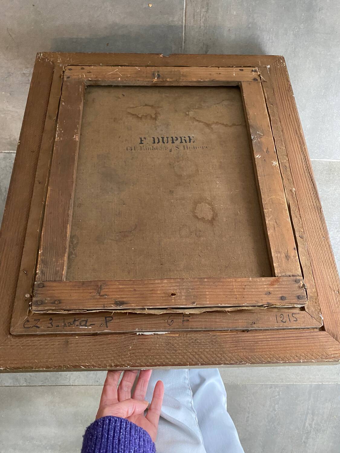 Still life with mimosa