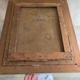 Still life with mimosa