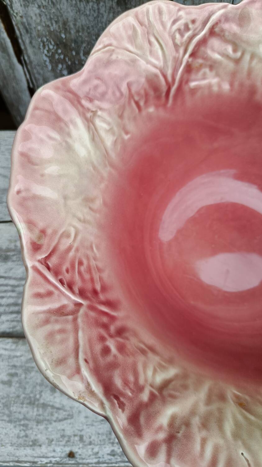 Pink cabbage slip salad bowl