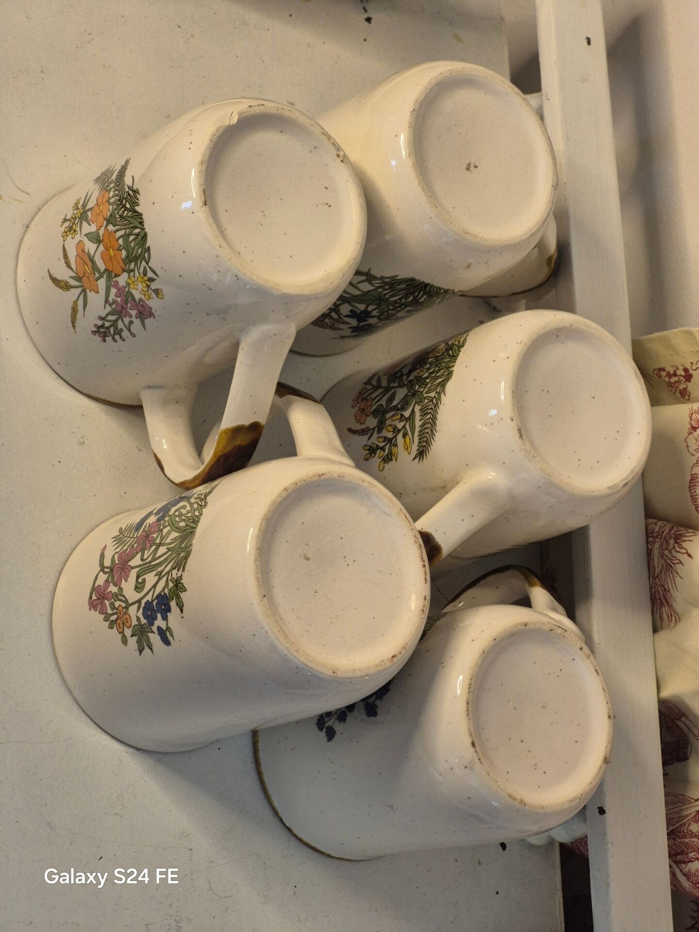Herbarium mugs