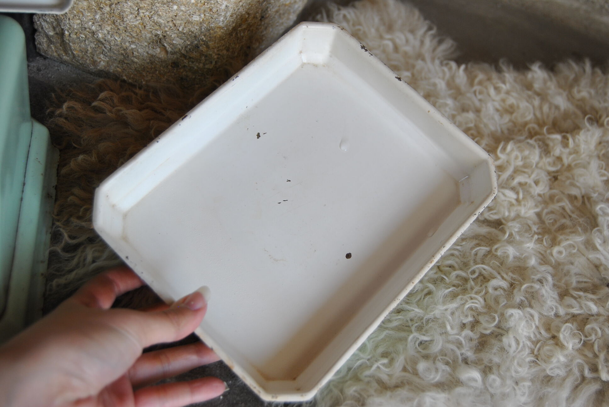 Household scale in water green metal Perca 50s