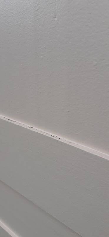 Pair of old cupboard doors h200x60cm each