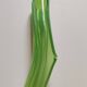 Vase Murano "Bambou"