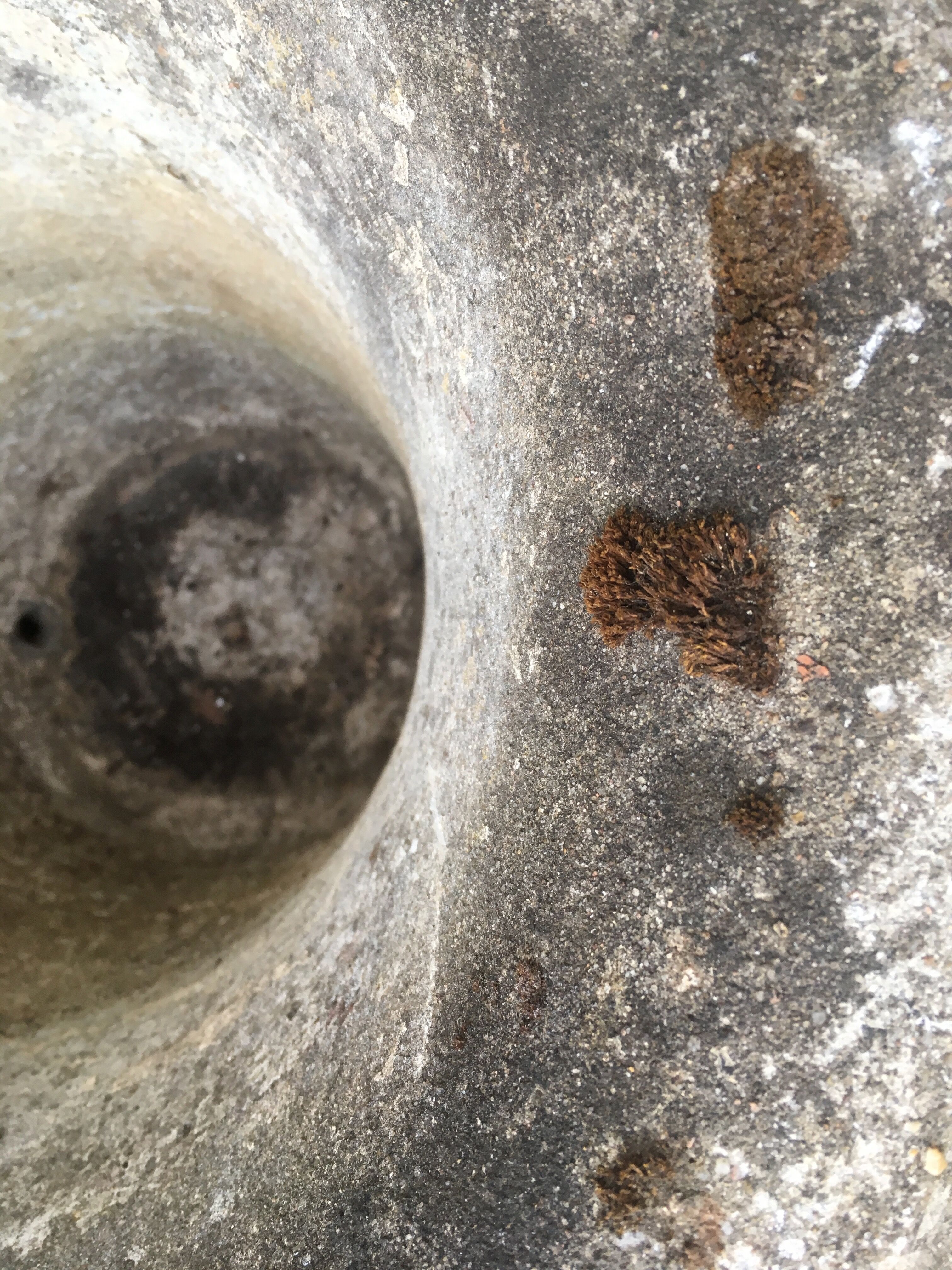 Stone Medici planter , H48cm