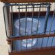 Cage à oiseau avec abreuvoir en verre